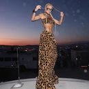 Conjunto Wild Essence